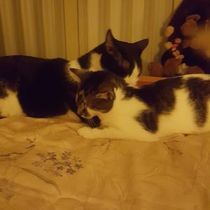 Meet your Posher, Sue